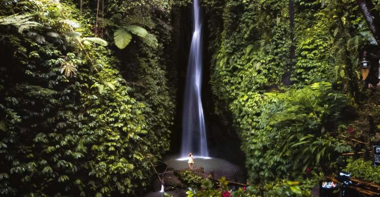 Bali: Leke-Leke Waterfall, Monkey Forest & Jungle Swing Tour - Activity Details