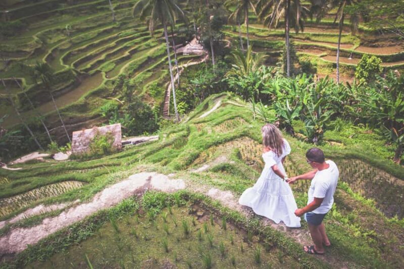 Bali: Lempuyang Quick Access, Waterfall, Water Palace & More - The Sum Up