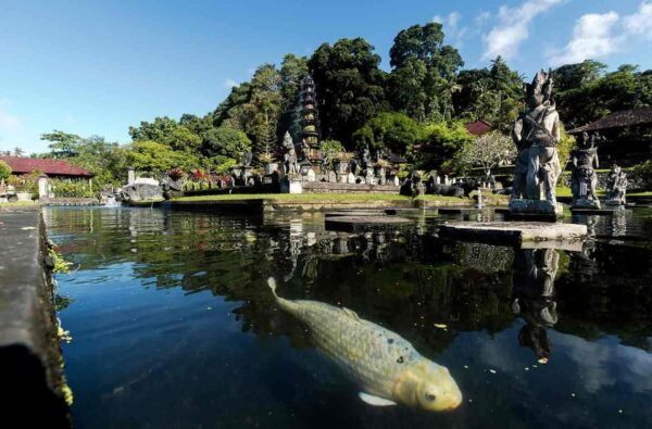 Bali: Lempuyang Temple, Goa Raja, Tirta Gangga Full Day Tour - Coffee Plantation Visit