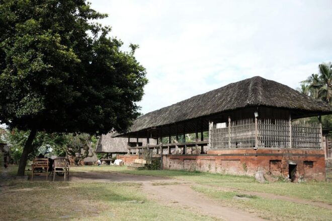 Bali: Lempuyang Temple, Tirta Gangga, and Tenganan Tour - Inclusions and Exclusions