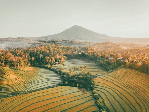 Bali: Lempuyang, Tirta Gangga Temple Treasure Tour - Customer Reviews and Insights
