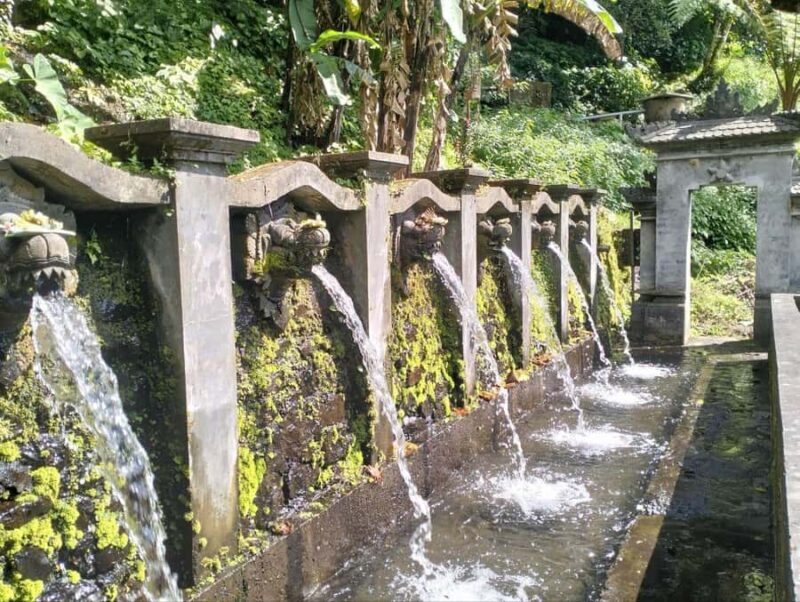 Bali: Lemukih Spiritual Healing Tour with Guide - The Sum Up