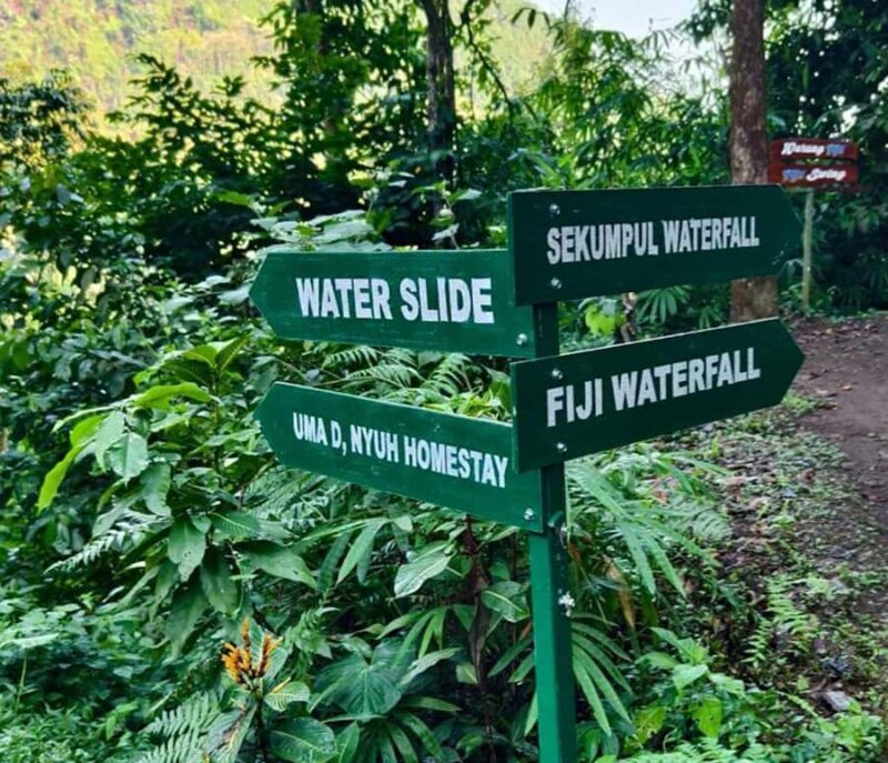 Bali: Lemukih Waterslide Adventure & Rice Terrace Trek - Final Thought