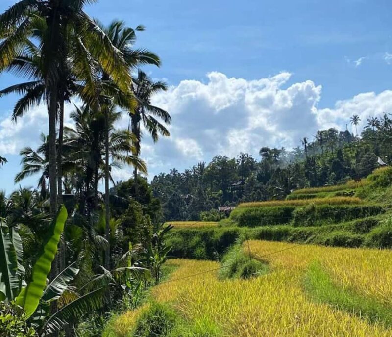 Bali: Lemukih Waterslide Adventure & Rice Terrace Trek - Lemukih Natural Waterslide Experience