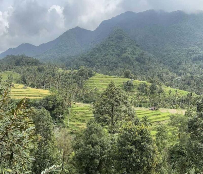 Bali: Lemukih Waterslide Adventure & Rice Terrace Trek - Duration & Group Size