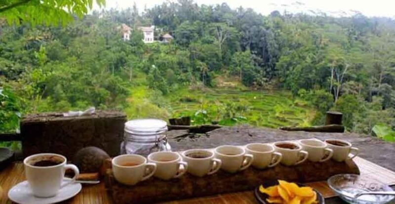 Bali: Local Village and School Tour with Lunch - Practical Tips for Travelers