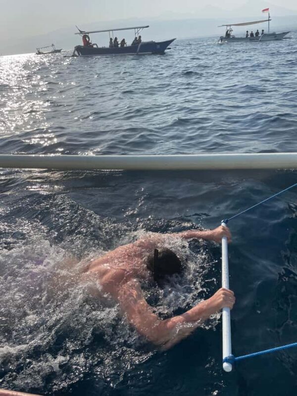 Bali: Lovina Beach Meet Dolphins and Sunrise Catcher - The Experience in Detail