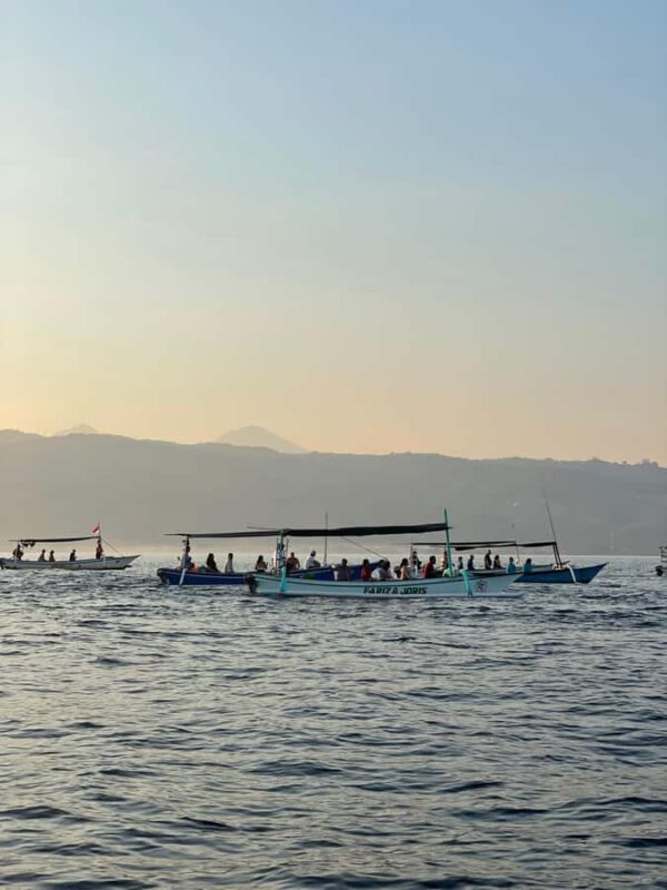 Bali: Lovina Beach Meet Dolphins and Sunrise Catcher - Authentic and Honest Feedback