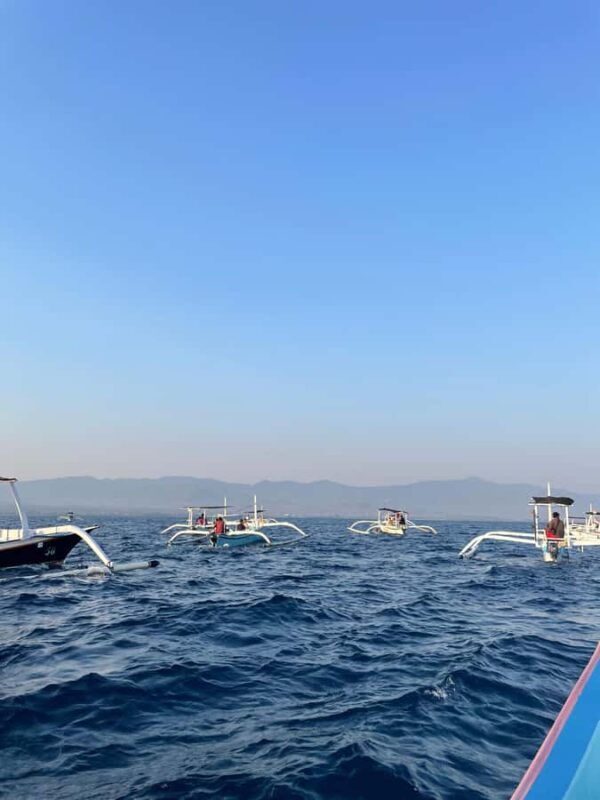 Bali: Lovina Beach Meet Dolphins and Sunrise Catcher - Who Should Consider This Tour?