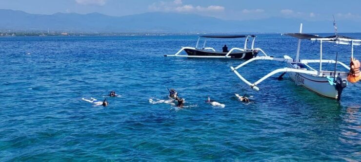 Bali: Lovina Dolphin Adventure With Breakfast and Snorkling. - Pricing Information