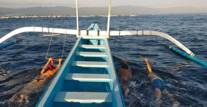 Bali: Lovina Dolphin Adventure With Breakfast and Snorkling. - Inclusions of the Package
