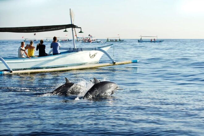Bali: Lovina Dolphin Adventure With Breakfast and Snorkling. - Customer Feedback
