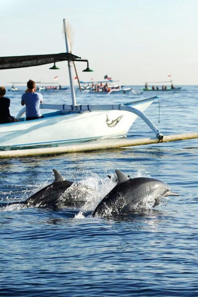 Bali: Lovina Dolphin Adventure With Breakfast and Snorkling. - Questions You May Have