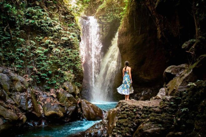 Bali: Lovina Dolphin and North Bali Sightseeing Tour - Wanagiri Hidden Hill