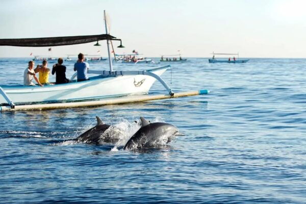 Bali: Lovina Dolphin and North Bali Sightseeing Tour - Important Travel Information