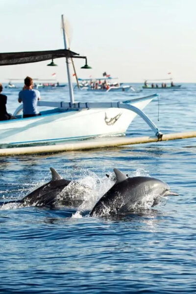 Bali: Lovina Dolphin and North Bali Sightseeing Tour - Questions You May Have