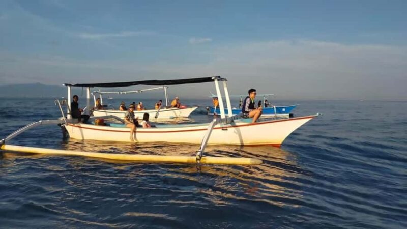 Bali: Lovina Dolphin And Snorkeling With Waterfalls Tours - Authentic Experiences Highlighted by Reviews