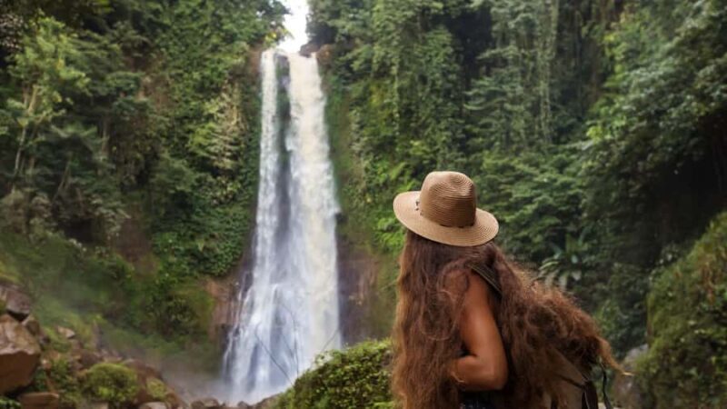 Bali/Lovina: Dolphin Snorkeling, Swimming & Waterfall Tour - Good To Know