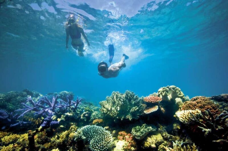 Bali/Lovina: Dolphin Snorkeling, Swimming & Waterfall Tour - Authentic Experiences from Real Travelers