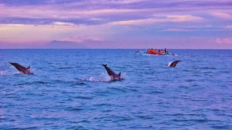 Bali/Lovina: Dolphin Snorkeling, Swimming & Waterfall Tour - How to Make the Most of Your Tour