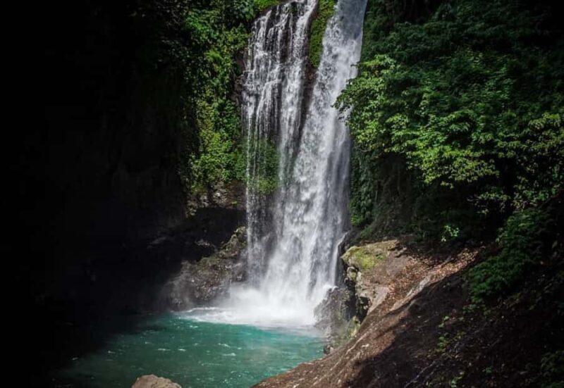 Bali/Lovina: Dolphin Snorkeling, Swimming & Waterfall Tour - FAQs