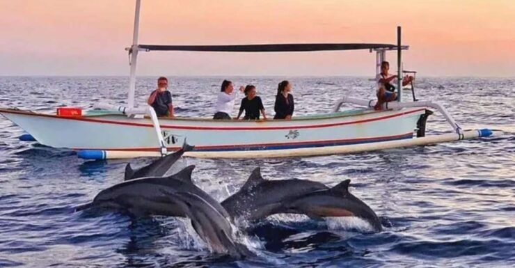 Bali Lovina Dolphin Tour & Watching Sunrise - Tour Highlights