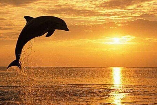 Bali Lovina Dolphin Tour with Sunrice, Snorkeling and Waterfall - Final Thoughts