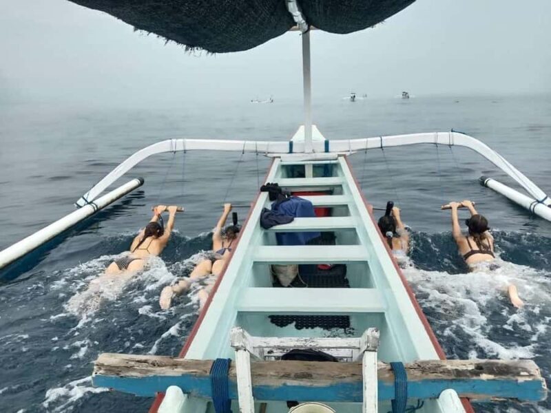 Bali: Lovina Dolphin Watching and Snorkeling Tour - Good To Know