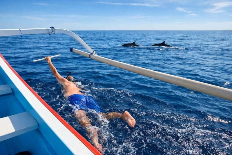 Bali/Lovina: Guided Dolphin Watching & Sunrise Boat Snorkel - The Experience in Detail