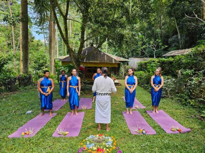 Bali (Lovina): Holy Waterfall Purification Ceremony - A Closer Look at the Tour Experience