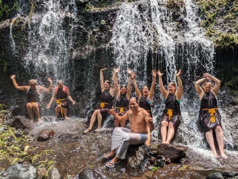 Bali (Lovina): Holy Waterfall Purification Ceremony - Who Should Consider This Tour?
