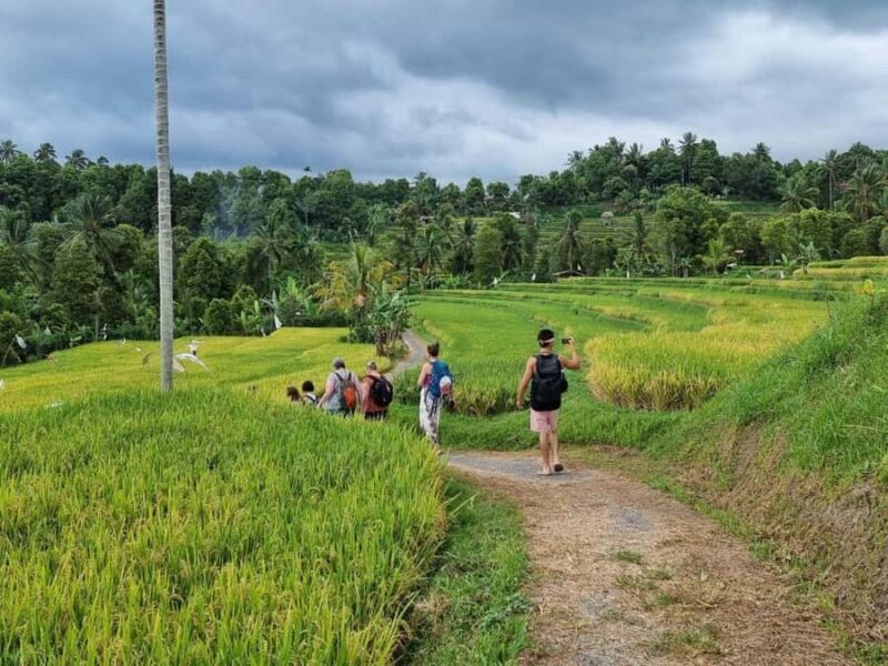Bali (Lovina): Holy Waterfall Purification Ceremony - Final Thoughts