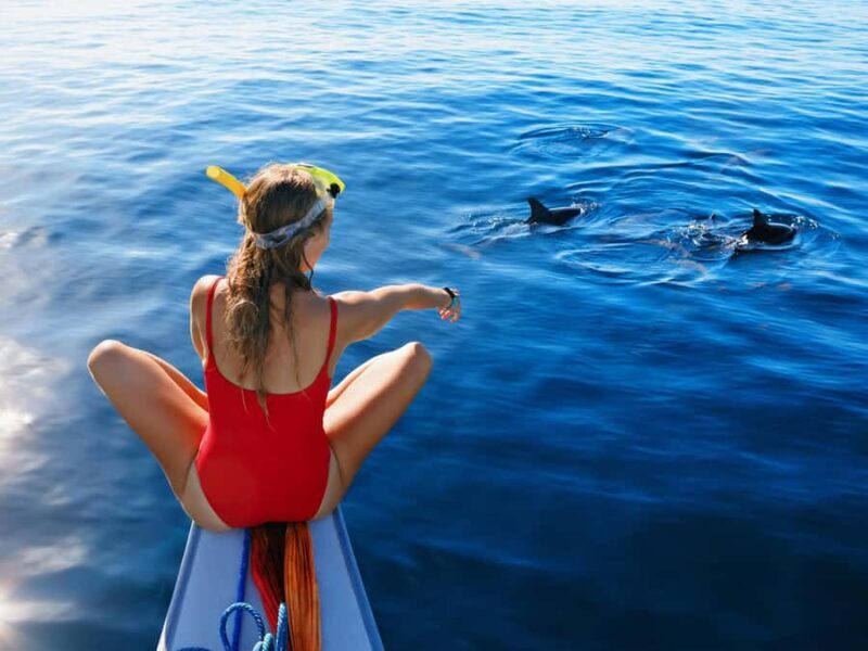 Bali: Lovina Marine Wonders, Dolphin Swim & Snorkeling. - What You Can Expect from the Tour