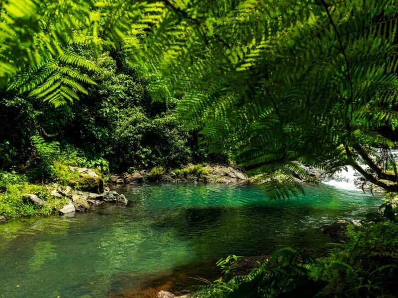 Bali: Lovina Marine Wonders, Dolphin Swim & Snorkeling. - Real Insights from Reviewers