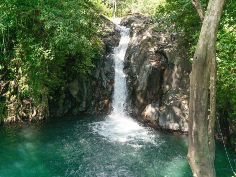 Bali: Lovina Marine Wonders, Dolphin Swim & Snorkeling. - FAQ