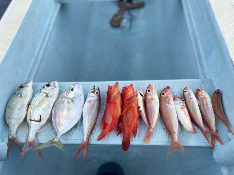 Bali/Lovina: Private Fishing Tour with Snorkeling Option - Authenticity and Local Charm