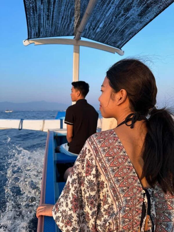 Bali: Lovina Private Meet Dolphins & Snorkeling Coral Reefs - Who Is This Tour Best For?