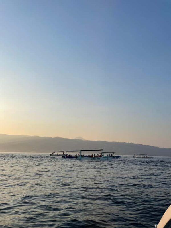 Bali: Lovina Private Meet Dolphins & Snorkeling Coral Reefs - FAQ