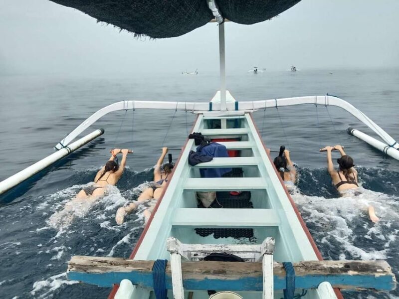 Bali/Lovina: Private or Shared Sunrise Dolphin Snorkel Tour - Deep Dive: What Makes This Tour Stand Out