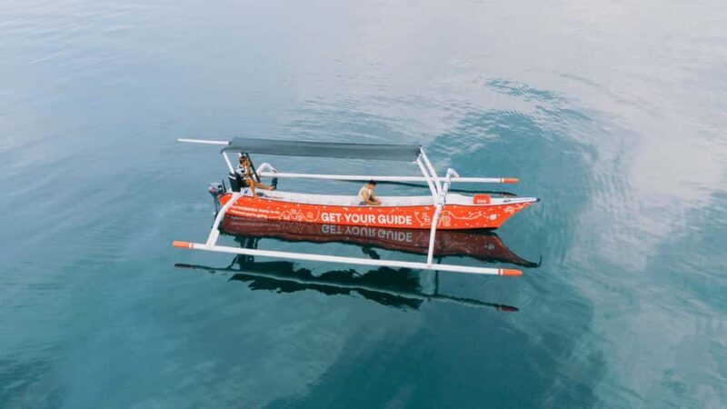 Bali/Lovina: Sunrise Dolphin Snorkel & Waterfall Cliff Jump - Good To Know