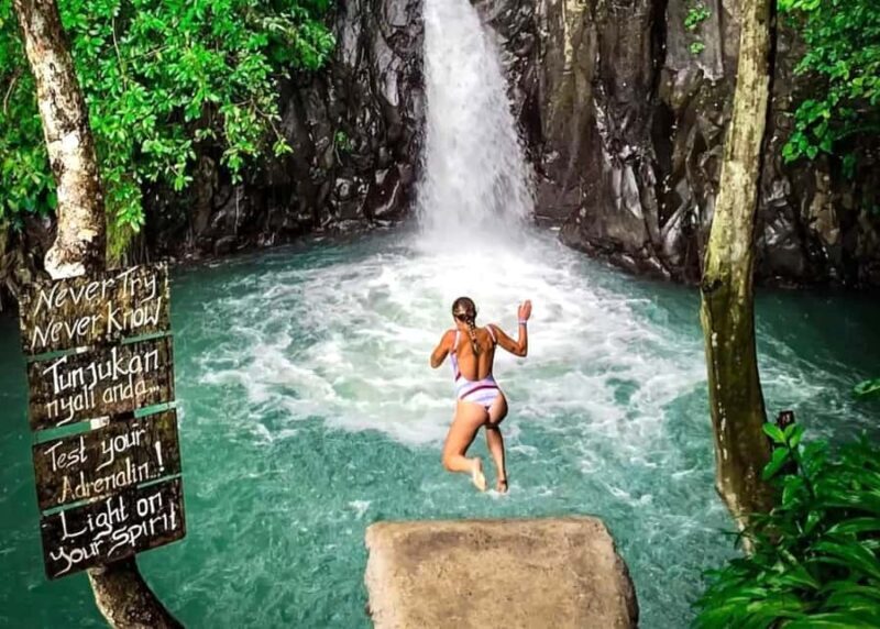 Bali/Lovina: Sunrise Dolphin Snorkel & Waterfall Cliff Jump - Introduction: An Adventure with a Side of Bali’s Beauty