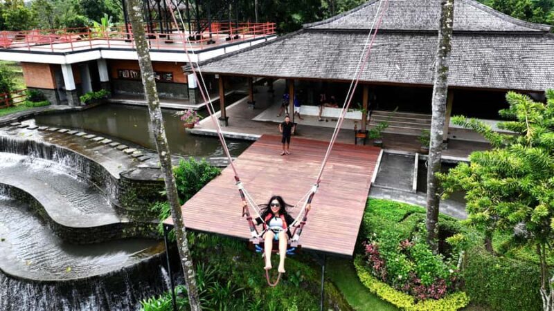 Bali/Lovina: Sunrise Dolphin Snorkel & Waterfall Cliff Jump - The Sum Up: Who Will Love This Tour?