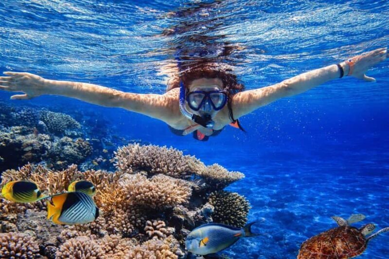 Bali/Lovina: Sunrise Dolphin Snorkel & Waterfall Cliff Jump - FAQ