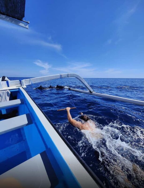 Bali/Lovina: Sunrise Dolphin Snorkel & Waterfall Cliff Jump - An In-depth Look at the Bali/Lovina Tour