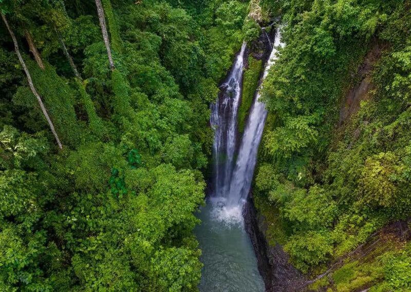 Bali/Lovina: Sunrise Dolphin Snorkel & Waterfall Cliff Jump - Final Thoughts