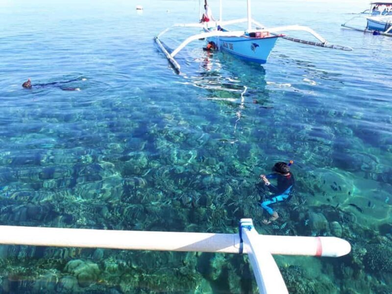 Bali: Lovina Sunrise Dolphin Watching And Snorkeling Tour - Frequently Asked Questions