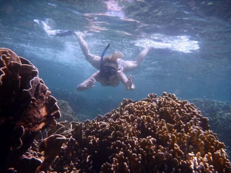 Bali: Lovina Sunrise Dolphin Watching And Snorkeling Tour - Final Thoughts