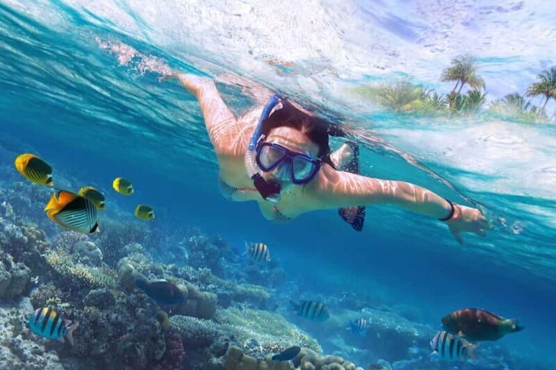Bali: Lovina Sunset Tour with Snorkeling Experience - Good To Know
