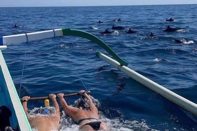 Bali: Lovina Swimming With Dolphine & Snorkeling Tour - An Authentic Look at Bali’s Lovina Dolphin & Snorkeling Tour