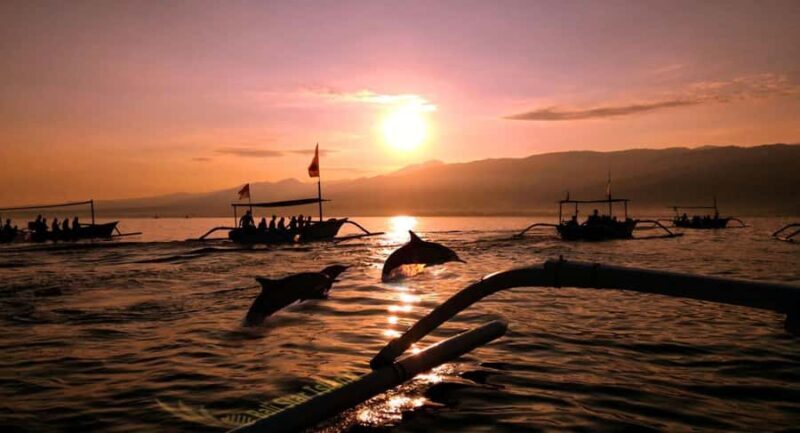 Bali: Lovina Swimming With Dolphine & Snorkeling Tour - The Value of this Tour